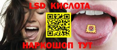 прущие грибы Заволжье