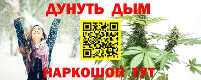 дмт Заводоуковск