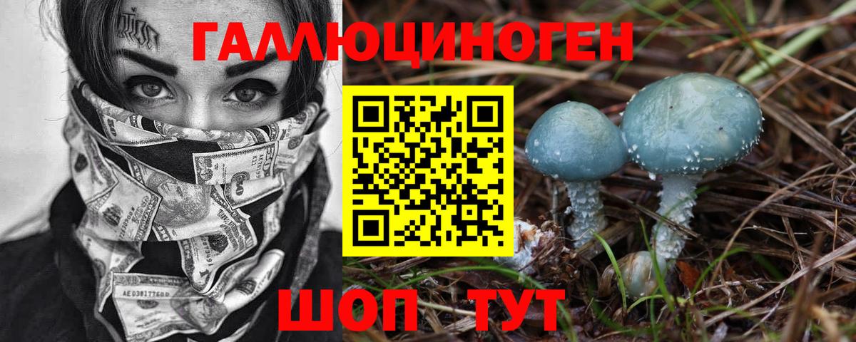 Псилоцибиновые грибы Psilocybine cubensis Магадан