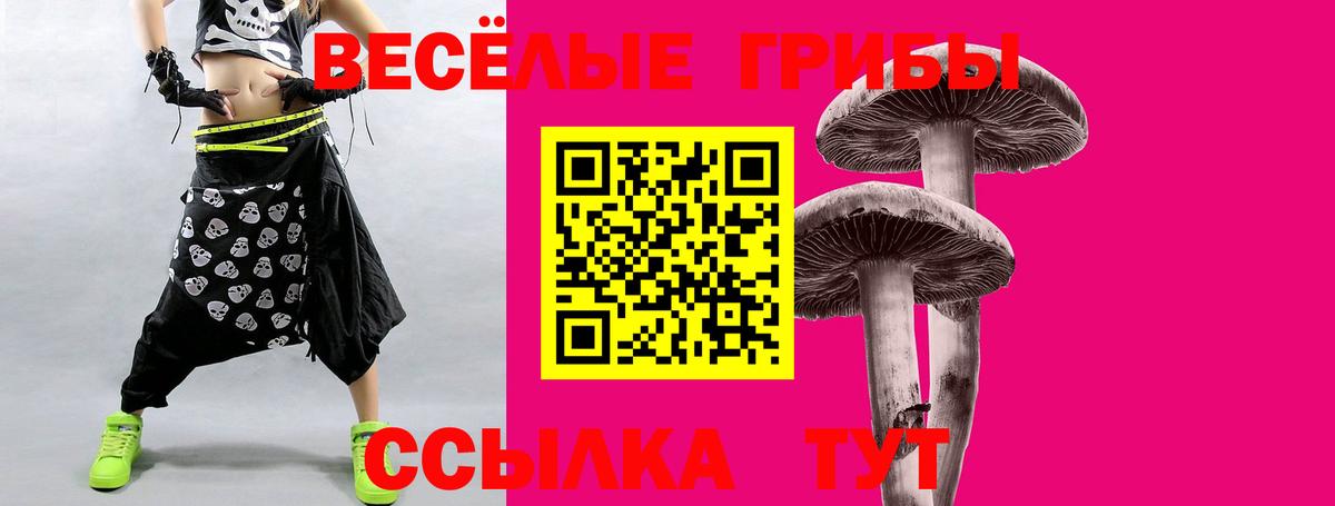 наркота  Галлюциногенные грибы Magic Shrooms  Вход с VPN  Псилоцибиновые грибы GOLDEN TEACHER  Магадан 